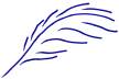 A blue quill pen sketch